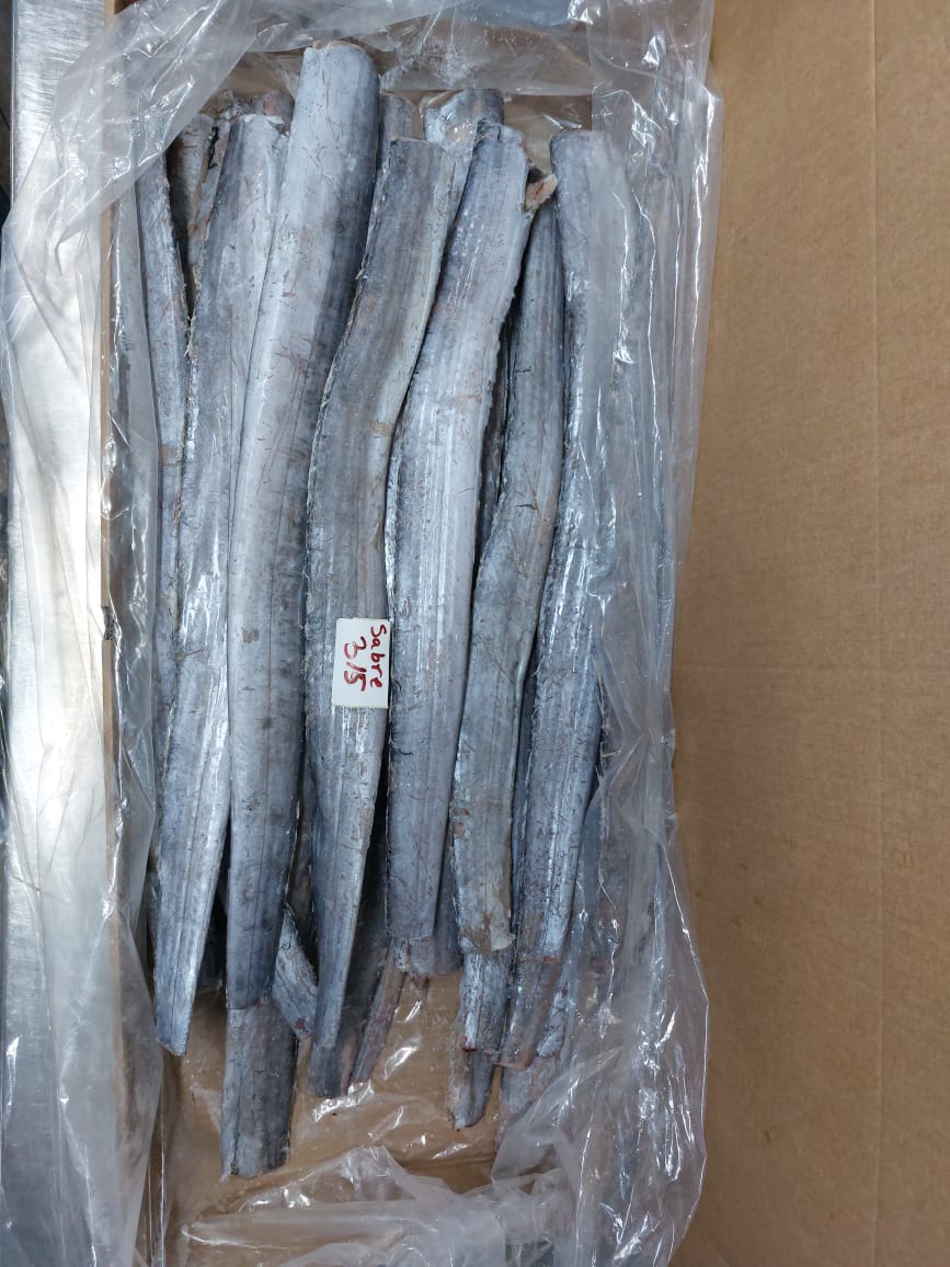 Ribbon Fish Production🐟, - Export & Import Poisson Agadir | La victoire ...